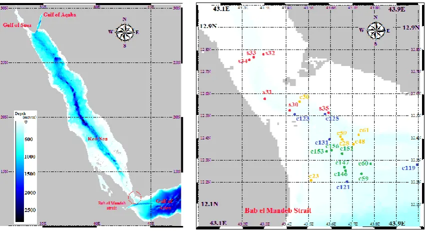 Fig. 1: The bathymetry of the Red Sea ( Left); locations of Gulf of Aqaba, Gulf of Suez, Gulf of Aden, and Strait of Bab el Mandeb are shown