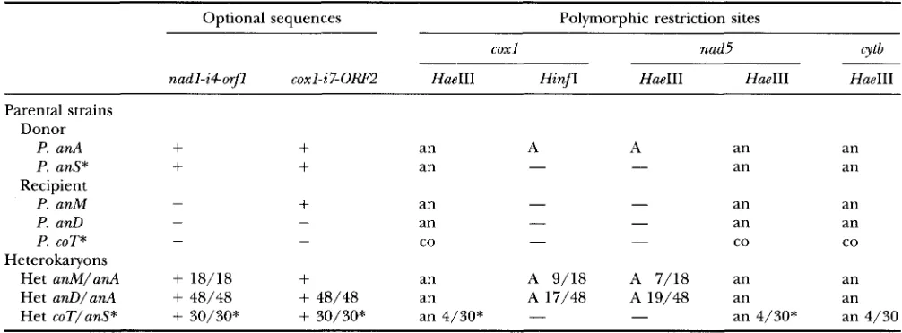 TABLE 2 