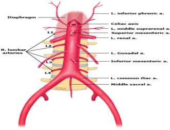 fig 1.