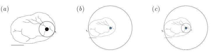 Figure 10: Encircling a placenta from inside and outside: (a) from inside,(b) from outside and (c) both.