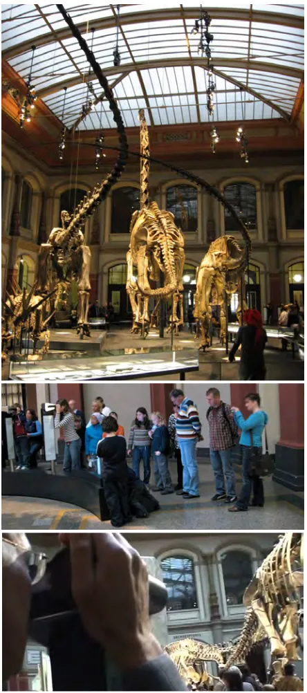 Figure 2. Children at the screen, seeing the skeletons in the museum and an animated film of Allosaurus in threatening pose