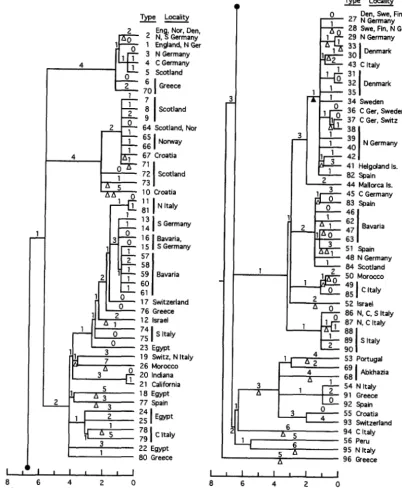 FIGURE 79),  and 21 79, that  uniting types  54, 91, and 92, and (for et al. mtDNAs. Solid  circles indicate the connection of the halves  of the tree shown the reason discussed  in PRAGER various  subsets of the sequences (see 30% for  three [the branch j