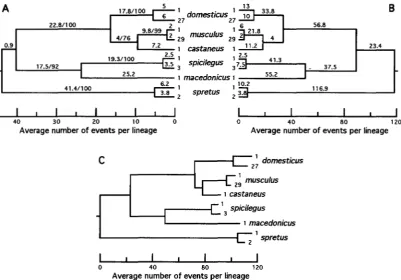 FIGURE 8.-Evolutionary trees constructed by parsimony (A and six species of house mice