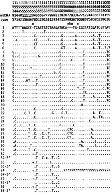 FIGURE 4.-Variable  sites  in position  15407 and cannot be  distinguished  from  type 7 but 00018)  was not sequenced  for types  61,  64, and 69