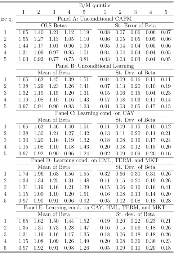 Table 2: Summary Statistics for Betas. Panel A reports the estimates of beta and their standard errors from time-series regressions of portofolio excess returns on the excess return on the value-weighted market index