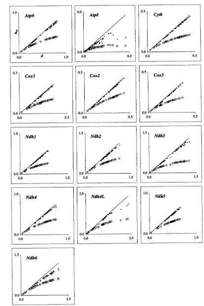 FIGURE 5.-Underestimation computed by Tamura-Nei model with variable rates of of  pairwise distances by simple models when using lst+Znd position data