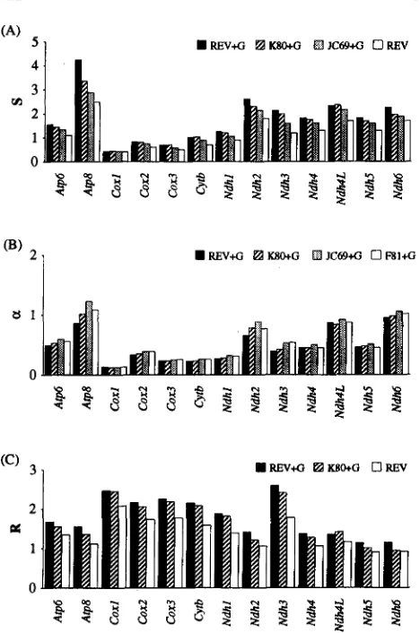 FIGURE 4.-Estimates ferent sion  rate  bias  averaged  over nucleotide  frequencies, of uted of evolutionary  quantities under dif- models of nucleotide  substitution