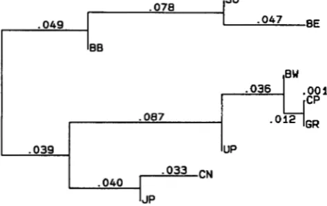 TABLE 2 The distance matrix 