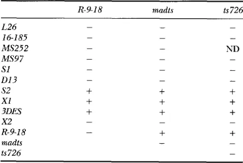 TABLE 1 