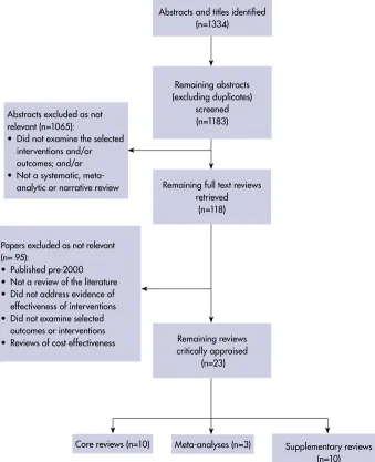 Figure 5.1: Papers identified in the review of reviews