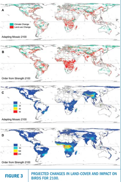 FIGURE 3PROJECTED CHANGES IN LAND-COVER AND IMPACT ON BIRDS FOR 2100.  