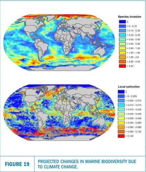 FIGURE 19PROJECTED CHANGES IN MARINE BIODIVERSITY DUE TO CLIMATE CHANGE. 