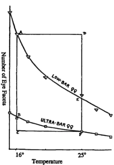 FIGURE 1.-Modified graphs, types. during a full from HOCBEN (1933a, p. 384). The as indicated, are for the low-Bar and ultra-Bar geno- Ordinate, number of eye facets; abscissa, temperature development