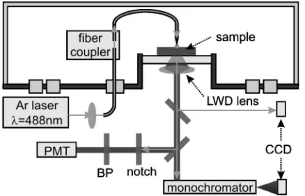 Fig. 3. Schematic diagram of the optical path insideand outside the controlled environment cham-ber
