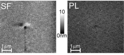 Fig. 6. Comparison of the time evolution of PL inten-sity with probe in contact and probe withdrawnslightly out of shear-force feedback range.Data is taken under low pressure (~10 mTorrnitrogen) conditions at a single point in the filmunder constant optical excitation at 488 nm.