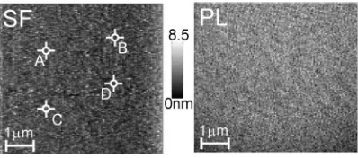 Fig. 9. Topographic and optical images of drop-castfilms in a low pressure nitrogen environment.(a) Topographic image (b) Optical image takenat 590 nm