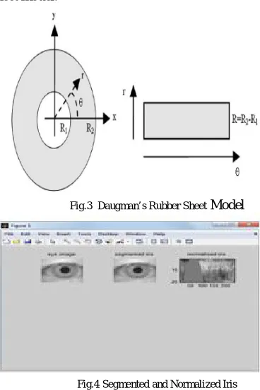 Fig.4 Segmented and Normalized Iris 