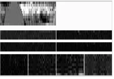 Fig. 6Contourlet transformation of an iris image for feature extraction. IV. CLASSIFICATION 