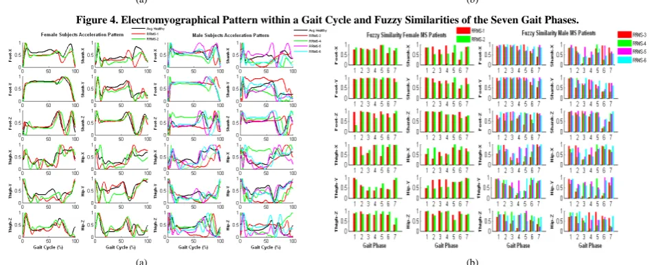 Figure 4. Electromyographical Pattern within a Gait Cycle and Fuzzy Similarities of the Seven Gait Phases