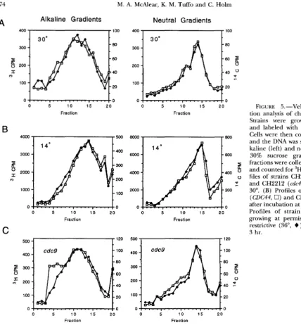 FIGURE 5. tion -Velocity  sedimenta- analysis of chromosomal DNA. 