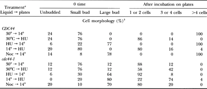 TABLE 3 