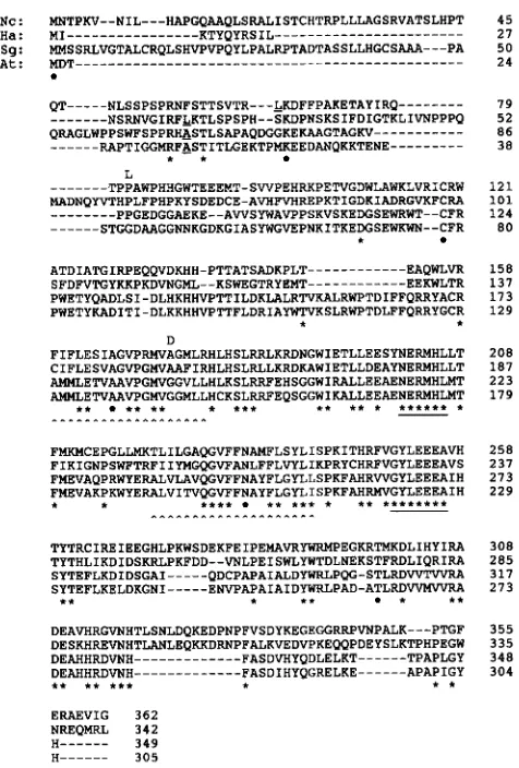 FIGURE 2.-Multiple found  in  the degenerate PCR primers. The missense mutation  (Table  2) and is indicated by an D lined asterisks indicate the regions used in the design of the by removal mutation  in the putative beginning cated with asterisks