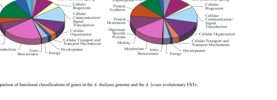 Figure 1.  Comparison of functional classifications of genes in the A. thaliana genome and the A