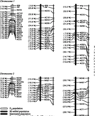 FIGURE 4.-Genetic justing for multiple meioses. Expected Fe expected intermated populations by calculating the maps  were RI-selfed, and intermated populations of Arabidopsis thaliuna tion lengths are expressed as  observed  recombi- nation fraction ( 3 ) 