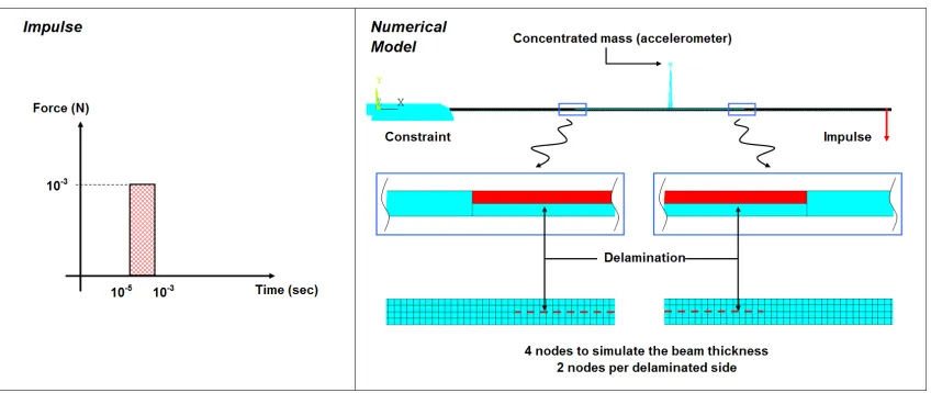 Figure 2 - Impulse characteristics and Numerical model details 