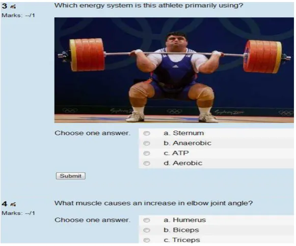 Figure 4.7. Screenshot of week four quiz question example 