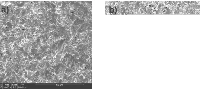 Figure 4: SEM micrographs of the erosion-corrosion scars (a) +300 mV H-H coated substrate  (b) +300 mV UBM coated substrate