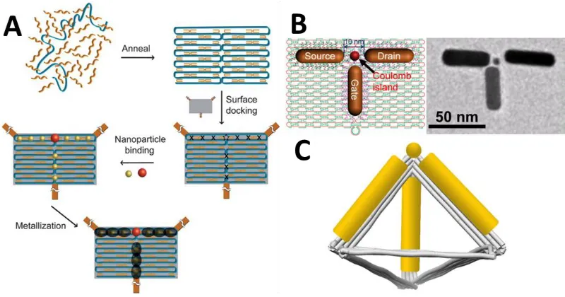 Figure 9. Schematic of assembly of a single electron transistor (SET), (A) initial plan mapped out186, (B) experimental results of core-SET nanostructure87, and (C) schematic for 3D SET