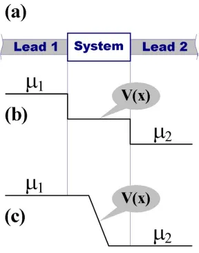 FIG. 3.11  (a) Schematic layout considered in many transport problems.  Only detailed 