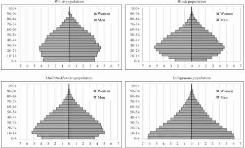 Figure 1.Population pyramids by poverty condition Mexico and Argentina 2006. 