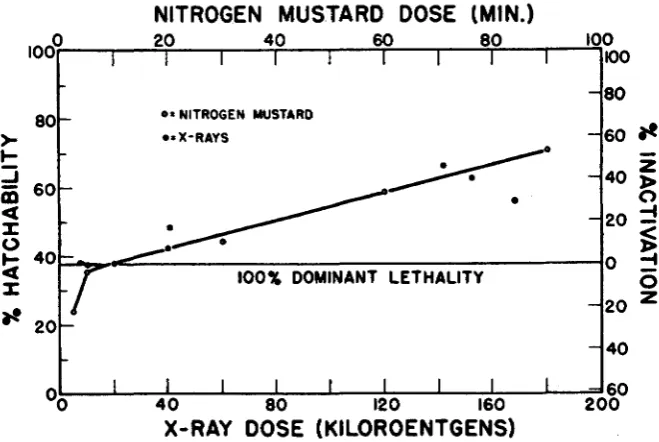 FIGURE 1.-Egg nitrogen mustard and hatchability showing sperm inactivation after exposure of males to or to X-rays; data superimposed