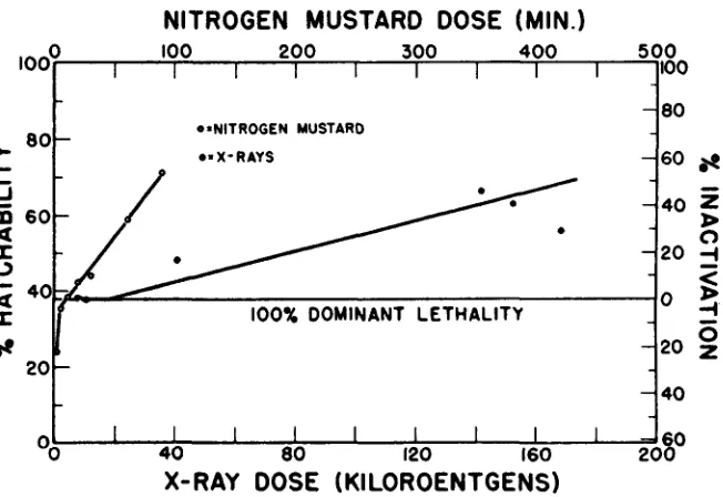 FIGURE 2.-Egg or comparison with egg sensitivities. Sperm five times as resistant to X-rays as to nitrogen nitrogen mustard mustard