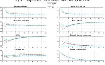 Figure 2: Response to a Domestic Government Consumption Shock