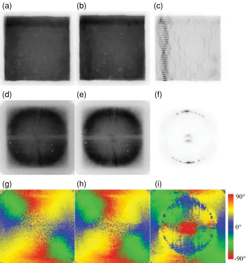 FIG. 3. (Color online) Near- and far-ﬁeld images for device 2