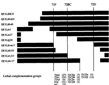 FIGURE 7.-Genetic Df(3L)A5 The relative order map  and and been described previously complement all four deficiencies