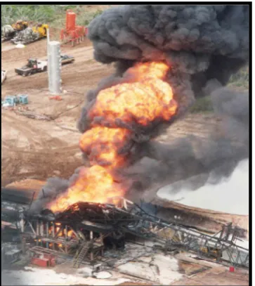 Figure 1. Well blowout [3]. 