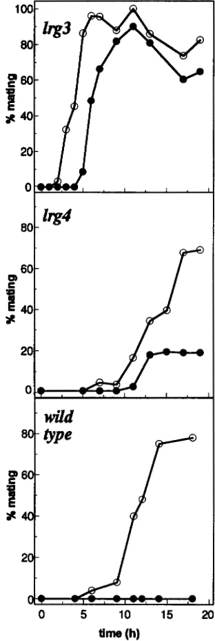 FIGURE 1.-Kinetics by addition continuous  irradiation or and  incubated  in  the  dark