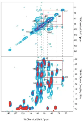 Figure 1.6. Top: 15N-15N spin correlation spectrum with mismatch Hartmann-Hahn, and bottom: SAMPI4 (red) and spin-exchange SAMPI4 (blue) spectra overlapped for structure determination of the Pf1 coat protein