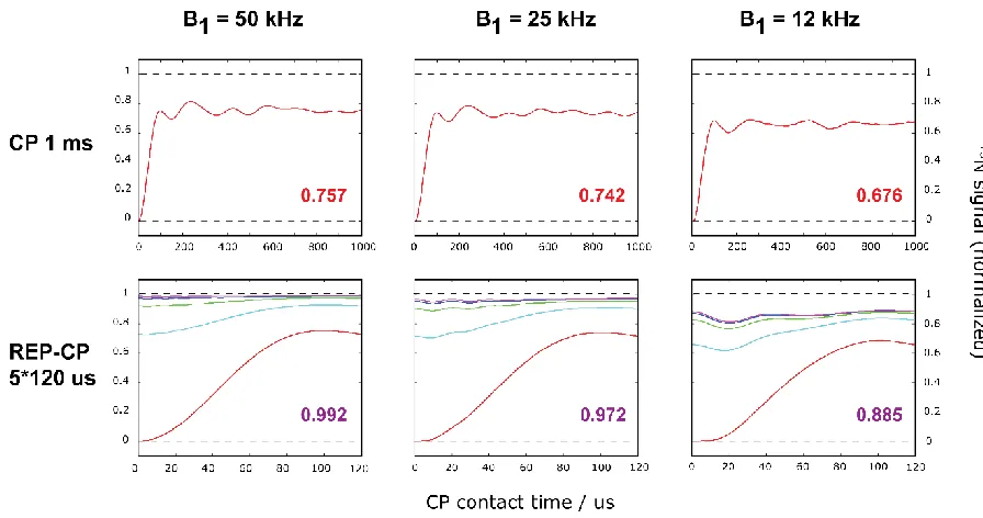 Figure 2.5. Quantum mechanical simulations for the CP sequence (1st row) and REP-CP sequence (2nd row) 