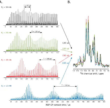 Figure 2.6. A. Experimental optimization of the CP contact time for REP-CP sequences acquired on Pf1 in bicelles at a B1 rf field of 50 kHz (black), 25 kHz (green), 19 kHz (red) and 12 kHz (blue) with five CP-MOIST contacts ranging from 10 to 500 µs (up to