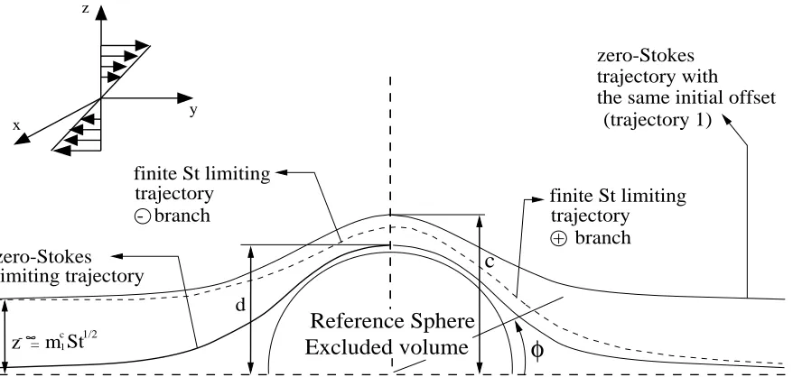 Figure 4.5: Finite St limiting trajectory in the plane of shear.