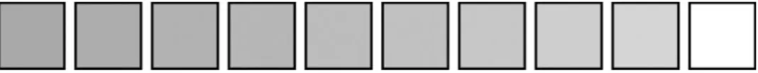 Figure 6. Example of continuous gradation divided into ten discrete steps. Image by Rachel Ivy Clarke