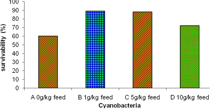 Fig. 1. Effect of cyanobacteria on survivability of fish after bacteria challenge 
