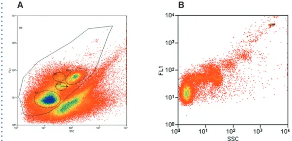 Figure 2. A). This histogram demonstrates discrimination of various high DNA-content bacteria from a transect of the  Gulf Stream