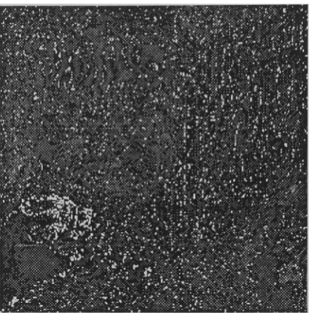 Figure 2: Error Image, 4 bits/pel/component
