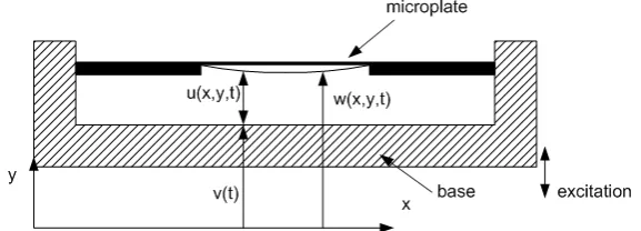 Figure 6. Schematic plot of micromachined silicon plate